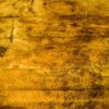 DSC_0510 Yellow