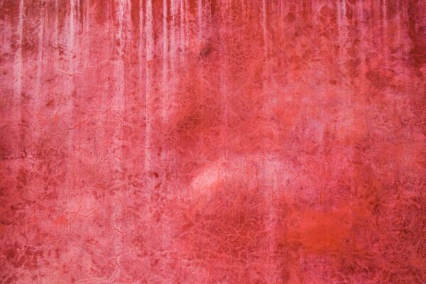 DSC_0770 Red