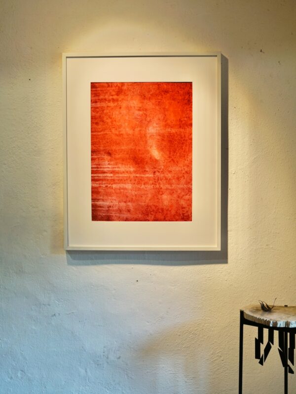 _RII1845 Red
